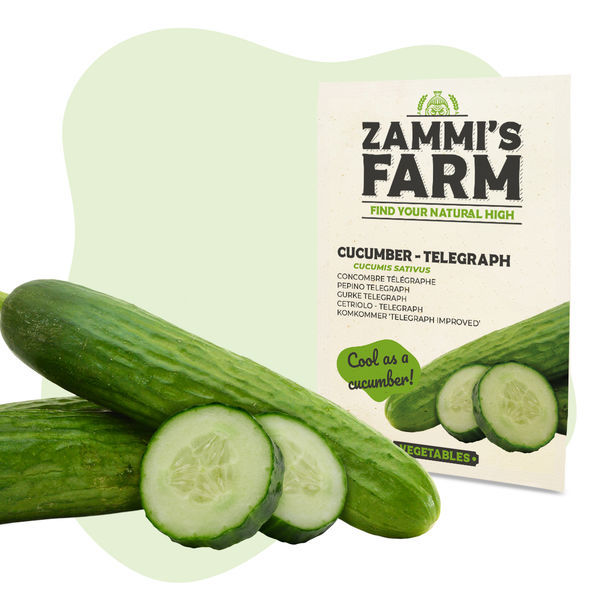 Vihannessiemenpakkaus – Zammin tila