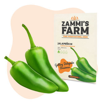 Vihannessiemenpakkaus – Zammin tila