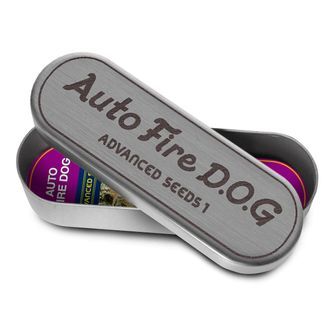 Auto Fire DOG (Advanced Seeds) feminisoidut