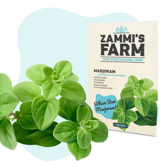 BBQ-yrttien siemenpakkaus – Zammi's Farm