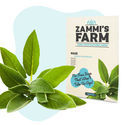 BBQ-yrttien siemenpakkaus – Zammi's Farm