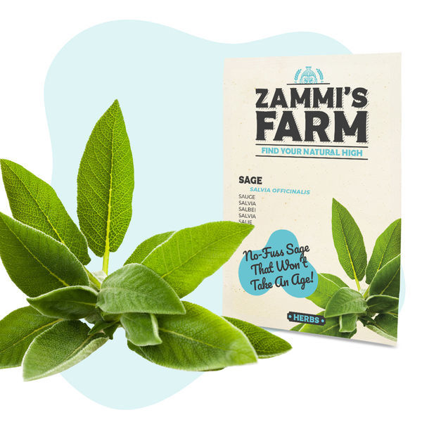 BBQ-yrttien siemenpakkaus – Zammi's Farm