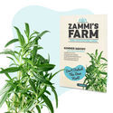 Teeyrttien siemenpakkaus - Zammi's Farm