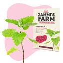Teeyrttien siemenpakkaus - Zammi's Farm