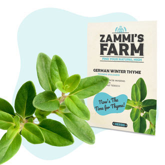 Keittiöyrttien siemenpaketti – Zammi's Farm