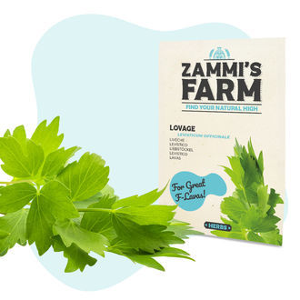 Keittiöyrttien siemenpaketti – Zammi's Farm