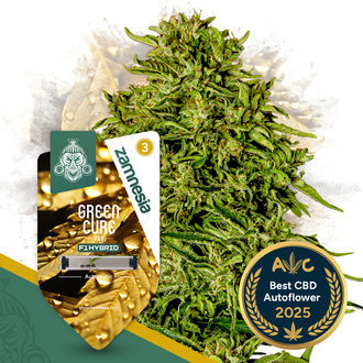 Green Cure CBD F1 Autoflower (Zamnesia Seeds) Feminisoidut
