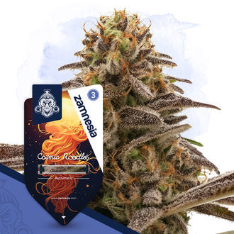Cosmic Noodles Autoflower (Zamnesia Seeds) Feminisoidut