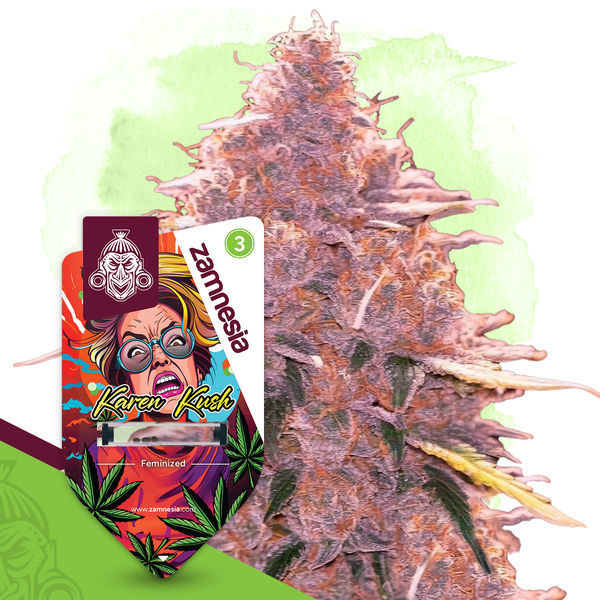 Karen Kush (Zamnesia Seeds) Feminisoidut