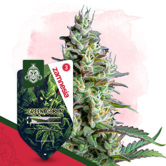 Green Goblin Automatic (Zamnesia Seeds) feminisoitu