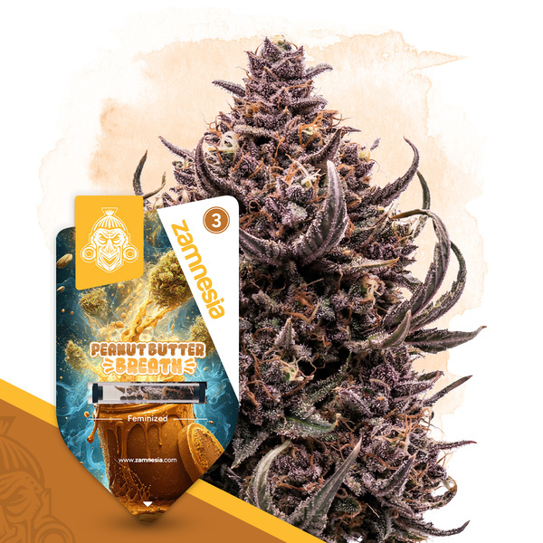 Peanut Butter Breath (Zamnesia Seeds) Feminisoidut