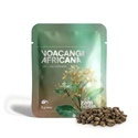 Voacanga africana (5 grammaa)