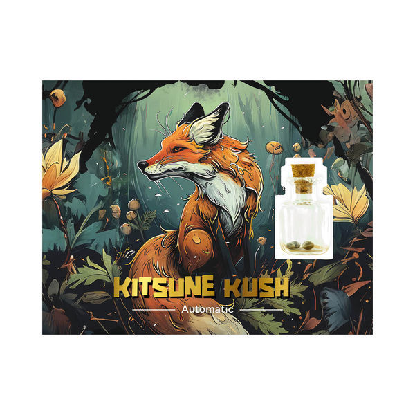 Kitsune Kush Auto (Zamnesia Seeds) feminoitu