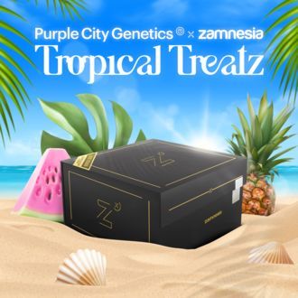 Tropical Treatz (Purple City Genetics x Zamnesia Seeds) Feminisoidut