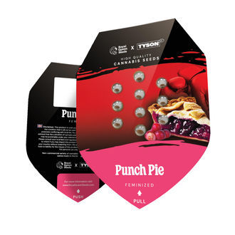 Punch Pie (Royal Queen Seeds) Feminisoi­tut kannabiksen siemenet
