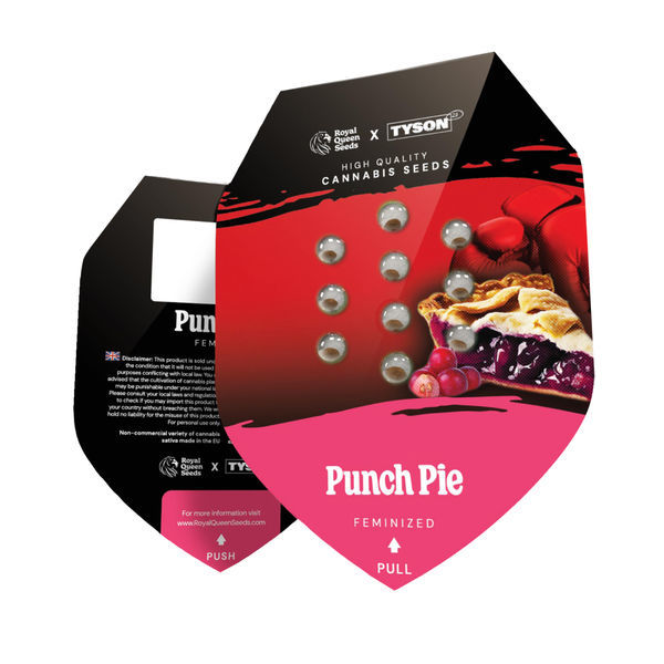 Punch Pie (Royal Queen Seeds) Feminisoi­tut kannabiksen siemenet