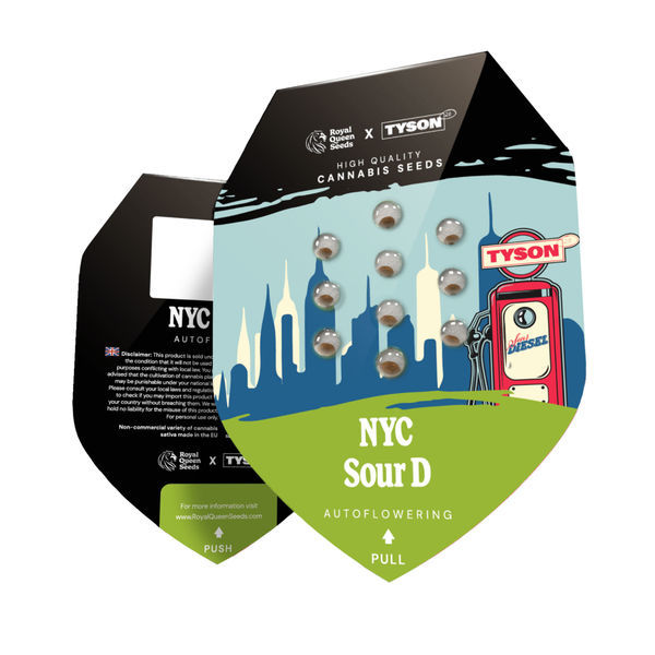 NYC Sour D Autoflower (Royal Queen Seeds) Feminisoidut