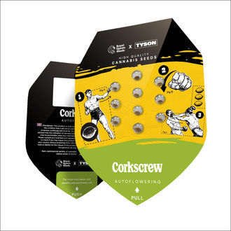 Corkscrew Autoflower (Royal Queen Seeds) femisoitu