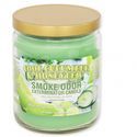 Kynttilä Cool Cucumber & Honeydew (Smoke Odor Exterminator)