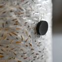 Tarrakiinnitteiset injektioportit, 50 kpl (Microppose)