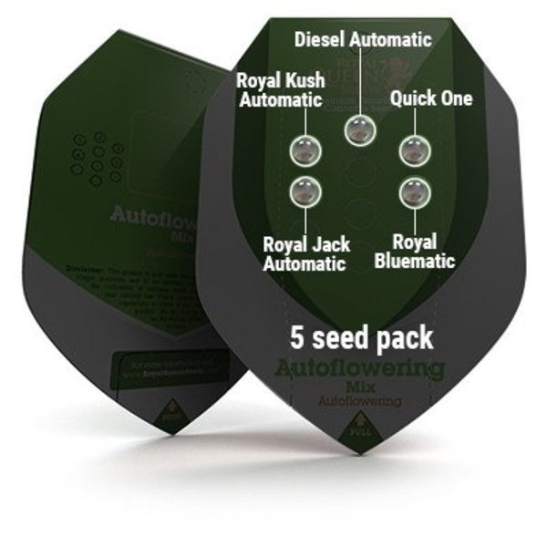 Autoflower Mix (Royal Queen Seeds) Feminisoidut