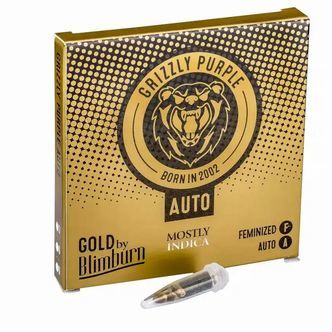 Grizzly Purple Auto (Blimburn Seeds) feminisoidut kannabiksen siemenet