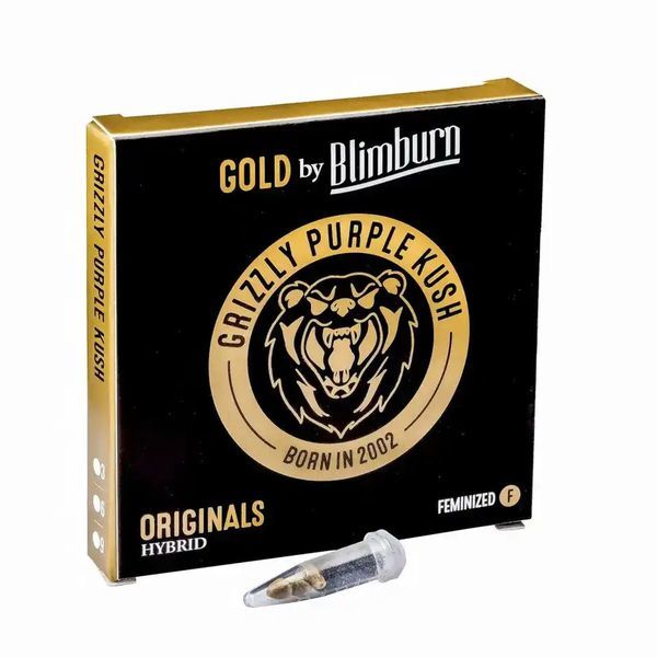 Grizzly Purple Kush (Blimburn Seeds) Feminisoidut