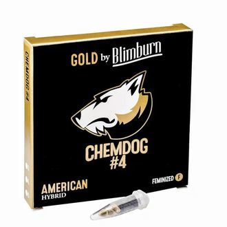 Chemdog 4 (Blimburn Seeds) Feminisoidut
