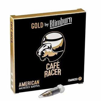 Cafe Racer (Blimburn Seeds) feminisoidut