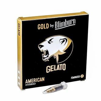 Gelato (Blimburn Seeds) &ndash; feminisoidut kannabiksen siemenet