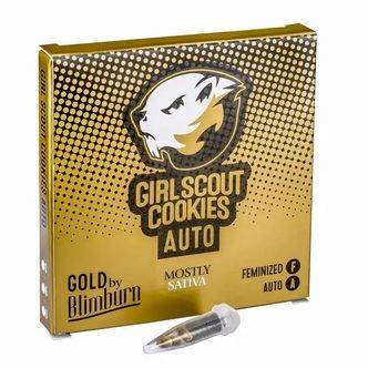 Girl Scout Cookies Auto (Blimburn Seeds) feminisoidut