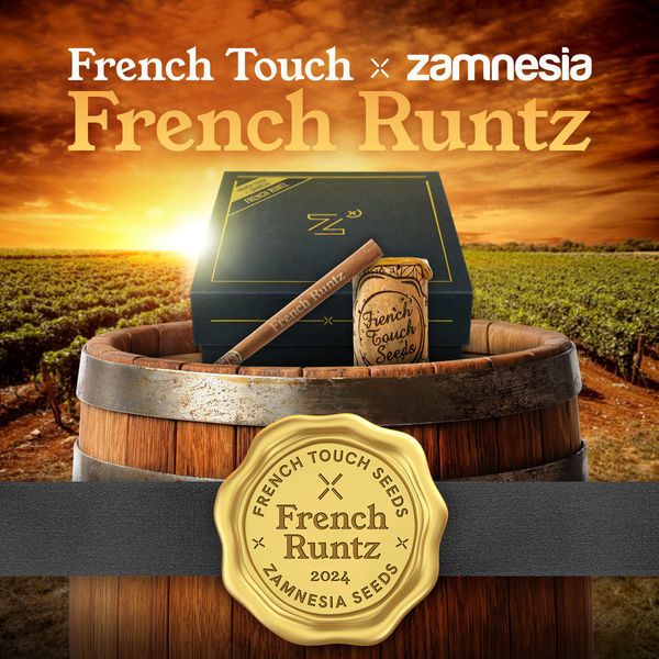 French Runtz (French Touch Seeds x Zamnesia Seeds) Feminisoidut