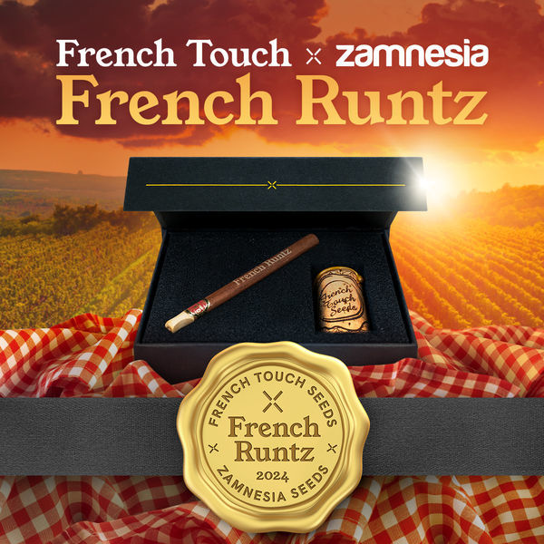 French Runtz (French Touch Seeds x Zamnesia Seeds) Feminisoidut