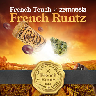 French Runtz (French Touch Seeds x Zamnesia Seeds) Feminisoidut