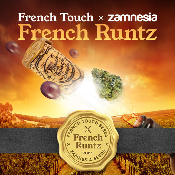 French Runtz (French Touch Seeds x Zamnesia Seeds) Feminisoidut