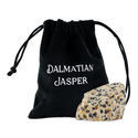 Dalmatianjaspis