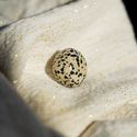 Dalmatianjaspis