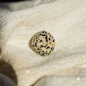 Dalmatianjaspis