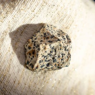 Dalmatianjaspis