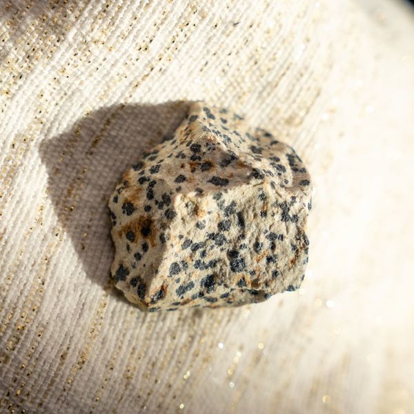 Dalmatianjaspis