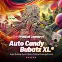Auto Candy Bubatz XL (Dutch Passion) Feminisoidut
