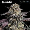 Zerealz Milk (Advanced Seeds) Feminisoidut