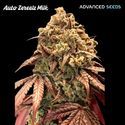 Auto Zerealz Milk (Advanced Seeds) Feminisoidut