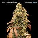 Auto Rainbow Sherbet 11 (Advanced Seeds) Feminisoidut