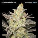 Rainbow Sherbet #11 (Advanced Seeds) Feminisoidut