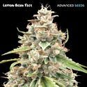 Lemon Bean Fast (Advanced Seeds) Feminisoidut