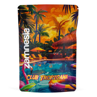 Club Tropicana -pakkaus &ndash; feminisoidut lajikkeet