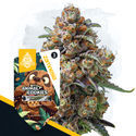Wild Things Pack - Feminisoidut lajikkeet