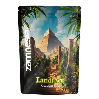 Landrace-pakkaus &ndash; feminisoidut lajikkeet