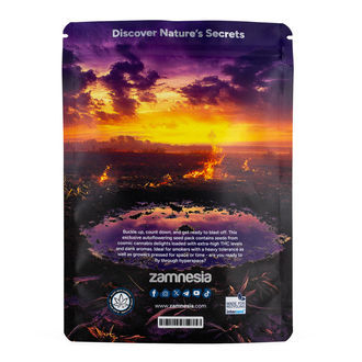Galactic Delights -paketti – Autoflower-lajikkeet